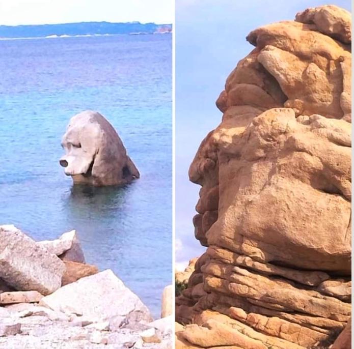 Incantevole Casa Vacanze Ginestra La Maddalena La Maddalena  Buitenkant foto